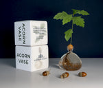 Load image into Gallery viewer, Acorn Vase
