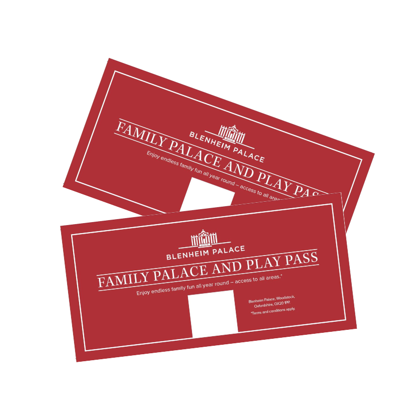 Annual Family Palace and Play Pass