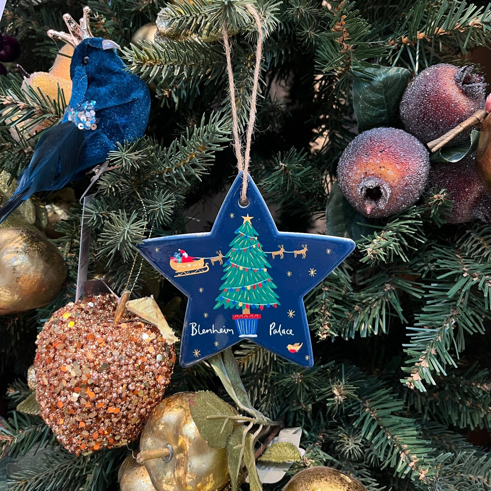 Jessica Hogarth Christmas Star Decoration