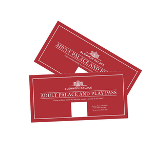 Adult Palace and Play Pass