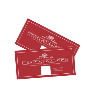 Child Palace and Play Pass