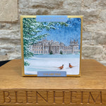 Load image into Gallery viewer, View of The South Lawn 8 Luxury Christmas Cards
