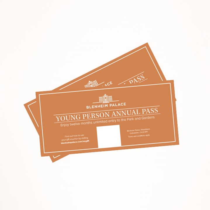 Young Person Annual Pass
